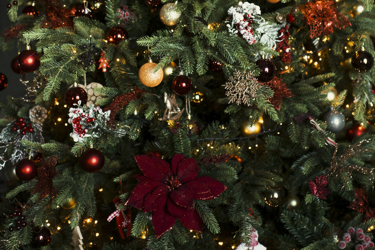 Visuels Decorations de Noel dans le Marais BD-1